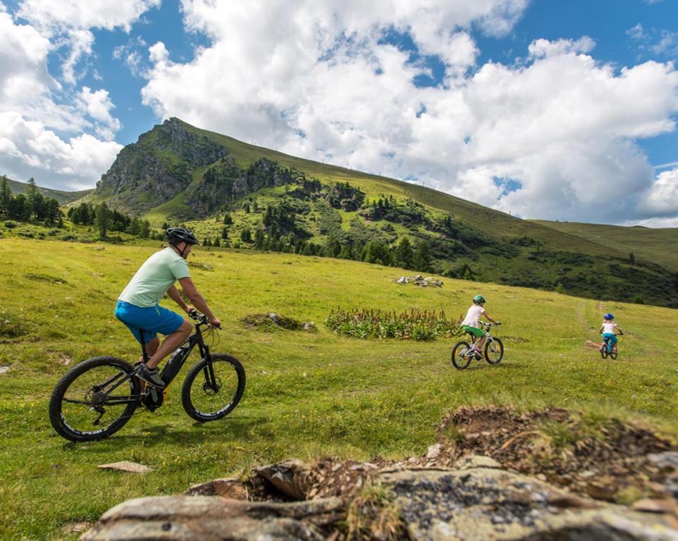 Penthouse Skyview Im Natur-Erlebnispark Bad Kleinkirchheim Patergassen Ngoại thất bức ảnh