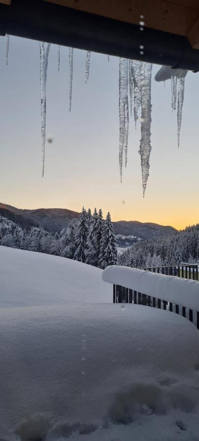 Penthouse Skyview Im Natur-Erlebnispark Bad Kleinkirchheim Patergassen Ngoại thất bức ảnh